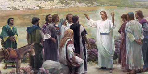 23-domingo-comum-mater