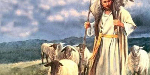 24-domingo-comum
