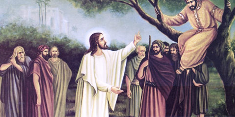 31-domingo-comum